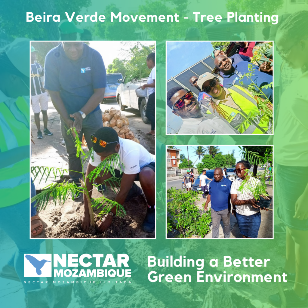 Tree Planting in Beira - Building a Better Green Environment