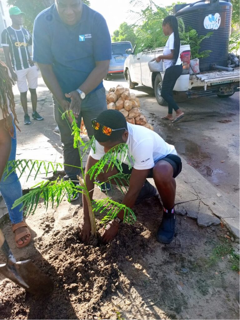 Beira Verde Movement’ - Tree Planting