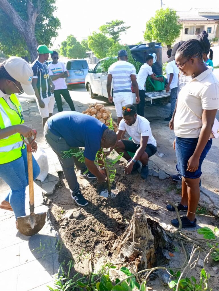 Beira Verde Movement’ - Tree Planting 4