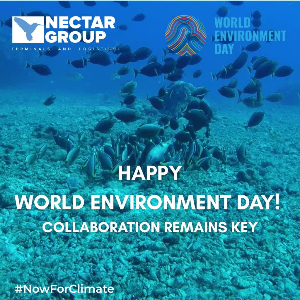 Happy World Environment Day 2026